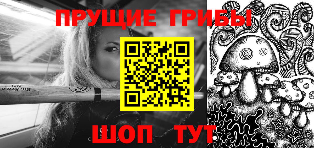 Псилоцибиновые грибы Psilocybe Протвино