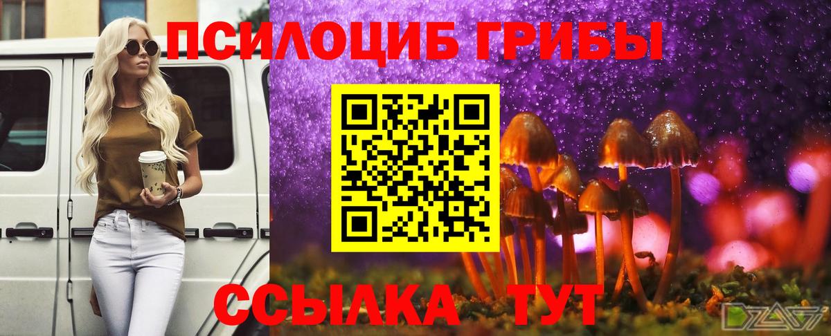 Псилоцибиновые грибы ЛСД  Псилоцибиновые грибы MAGIC MUSHROOMS  Вход с VPN  Протвино 